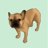 Digital Pet Portrait (Full Body)