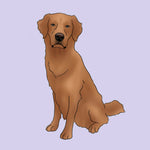 Digital Pet Portrait (Full Body)