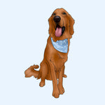 Digital Pet Portrait (Full Body)