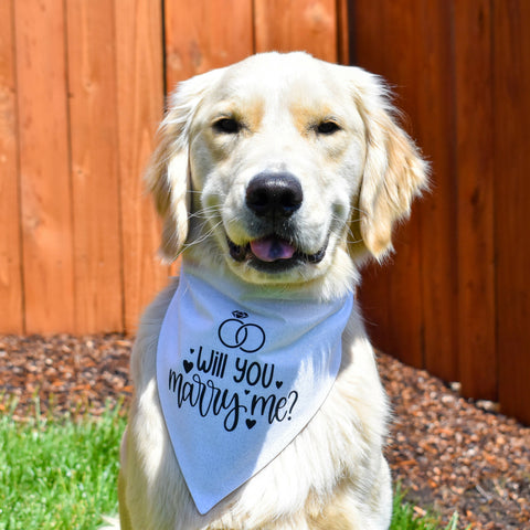 Will You Marry Me Over-the-Collar Dog Bandana